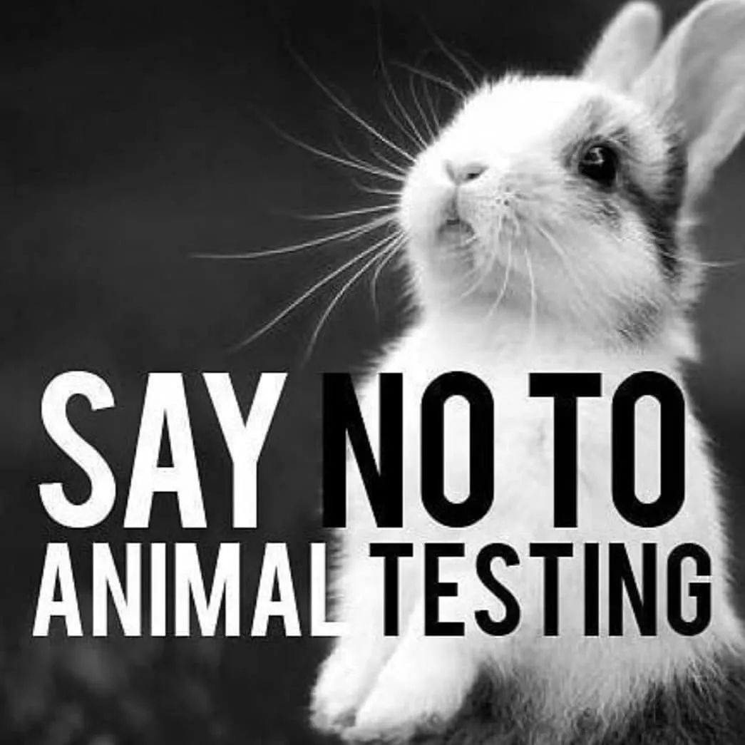 google最新产品,google品牌