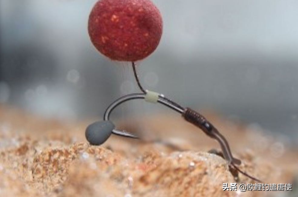 话说欧鲤钓组全集,欧鲤钓组可以钓哪些鱼