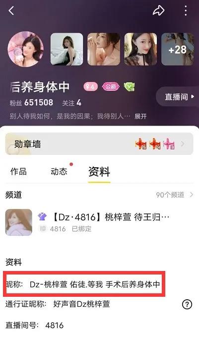 yy小白龙连麦舞帝,yy舞帝小白龙事件真相