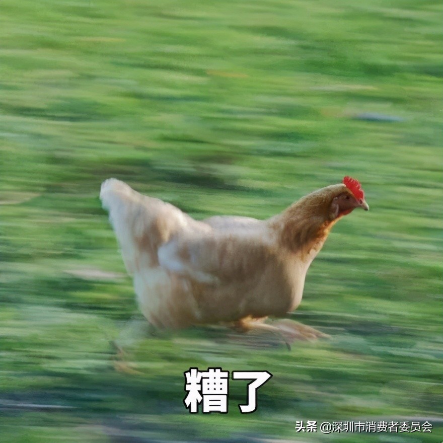 嵌入式蒸烤箱排名前十名,嵌入式烤箱测评排行榜前十名