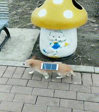 新娘开心的搞笑视频,搞笑gif开心一刻女司机上车