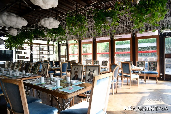 网红餐厅“胡桃里”的绿植布置|行摄