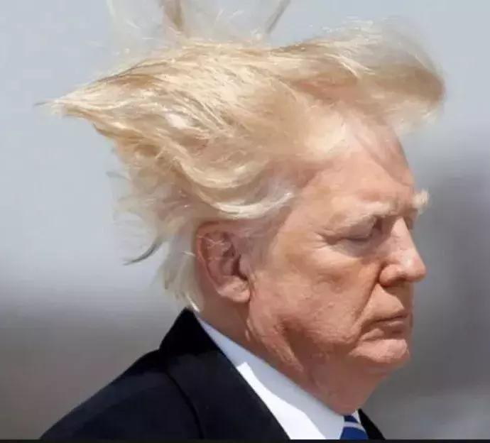 法国代购为什么这么便宜,揭秘法国代购