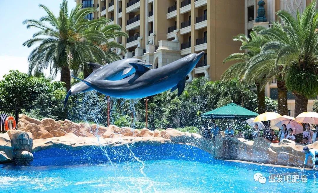 一天珠海长隆最全游玩攻略,最新的珠海长隆游玩攻略