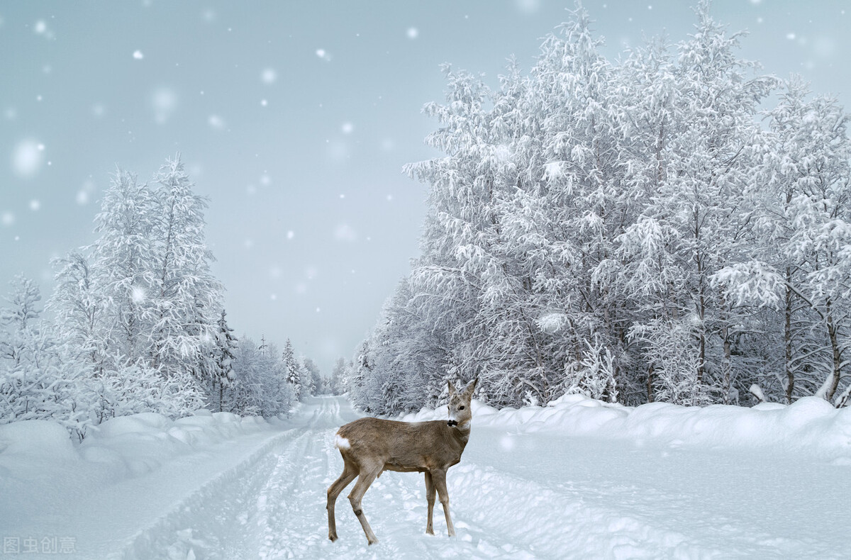 适合冬天发的沙雕朋友圈文案,天冷了晚上吃宵夜的朋友圈文案
