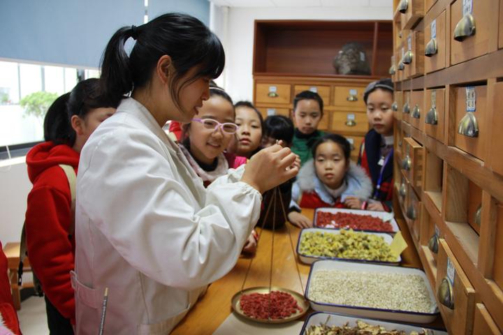 道地药材质量,道地药材与中药质量