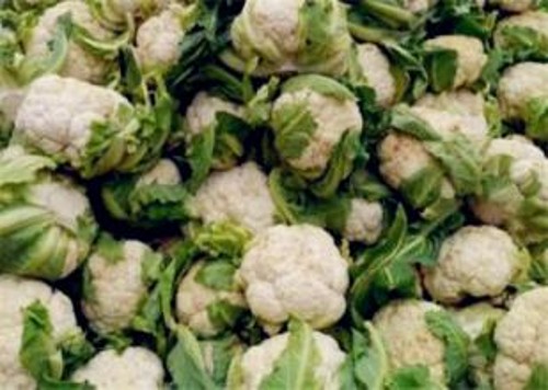 花菜的高产栽培技术,花菜种植技术教程视频