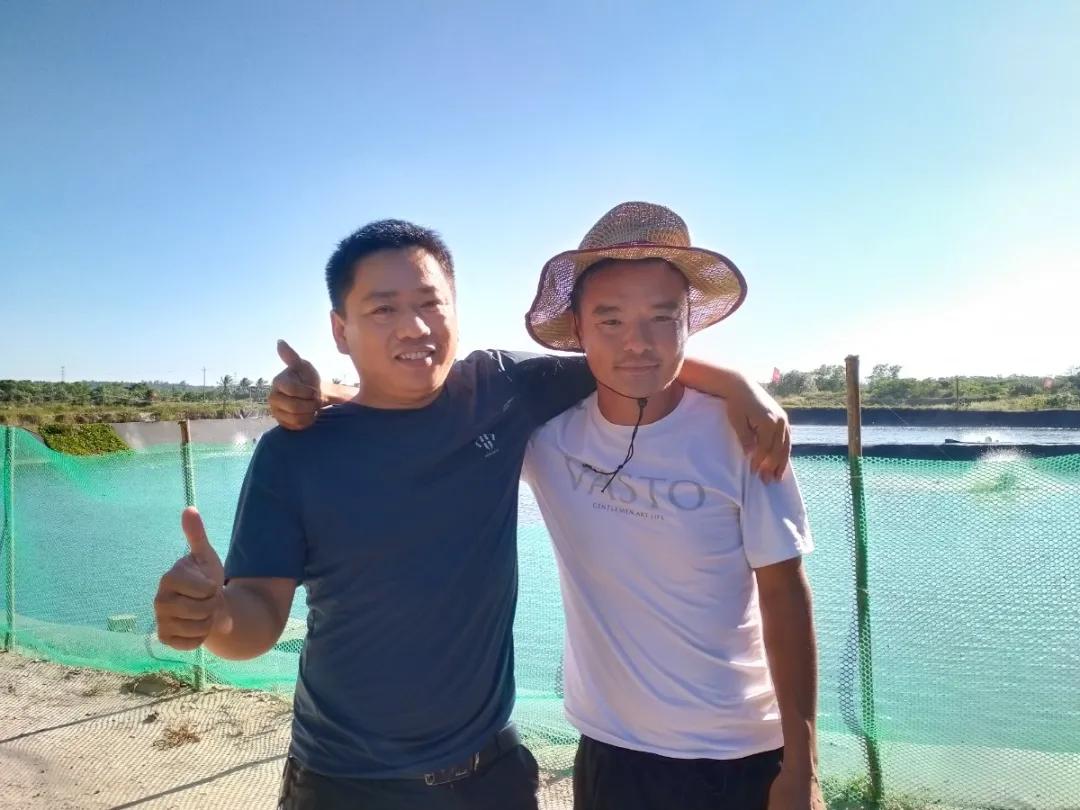 石斑鱼寄生虫类疾病防控技术,石斑鱼孢子虫最佳防治方法