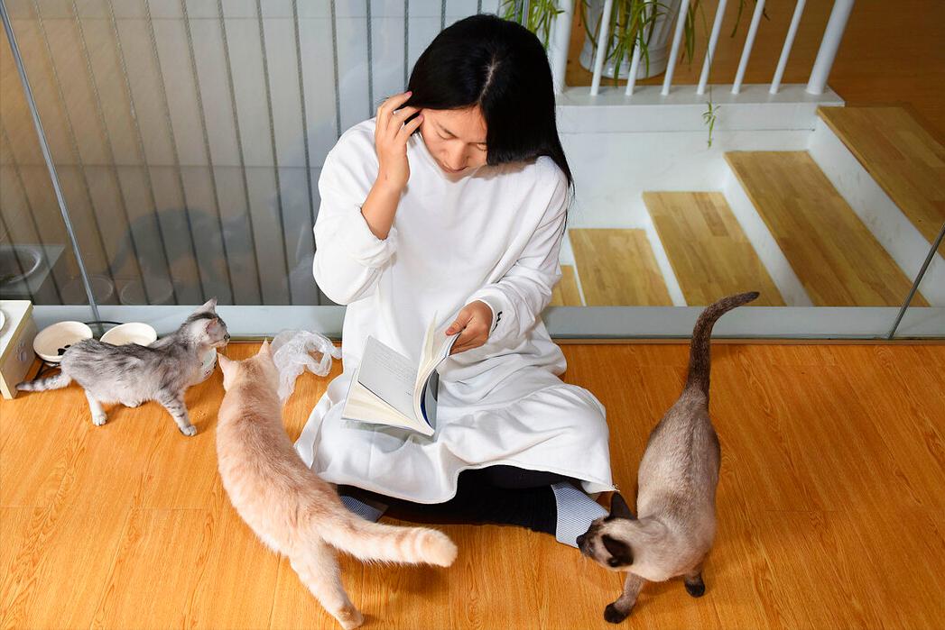 爱猫人士教你如何收养一只流浪猫,爱心人士收养20只流浪猫