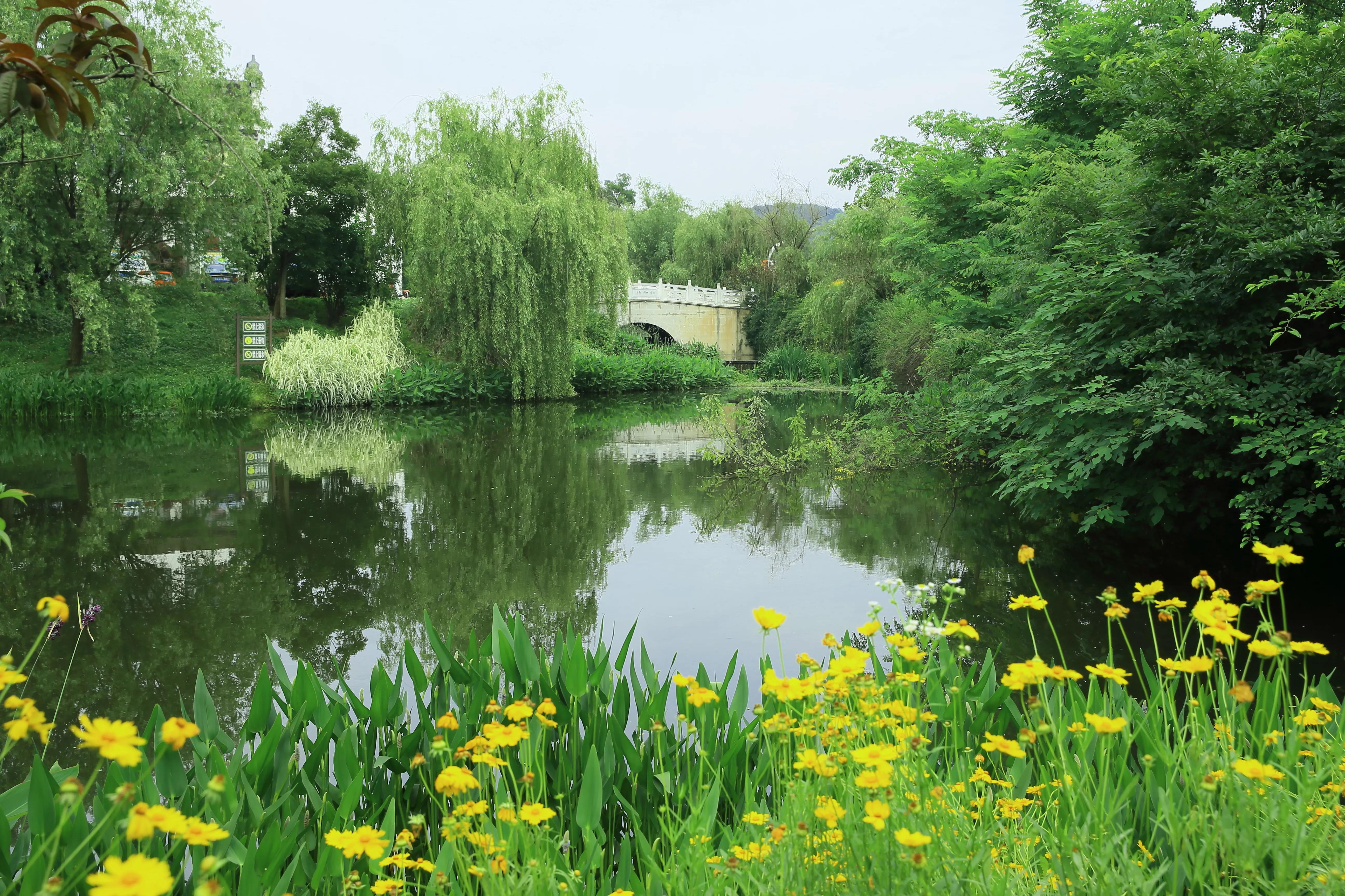 世凹桃园,世凹桃源图片