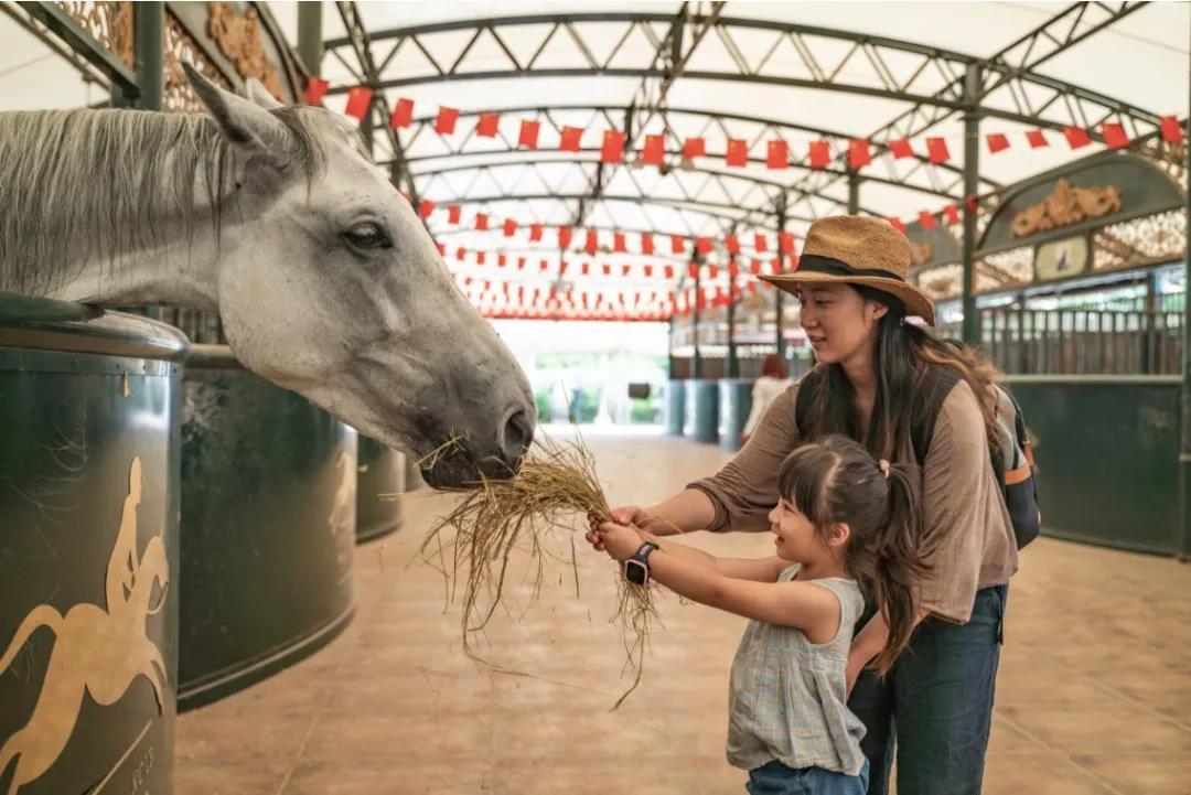 黄果树景区直通车几点能到,黄果树景区直通车怎样坐车