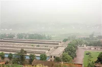 懵了！宜宾202、405、524、673…本地人都疑惑的神秘数字