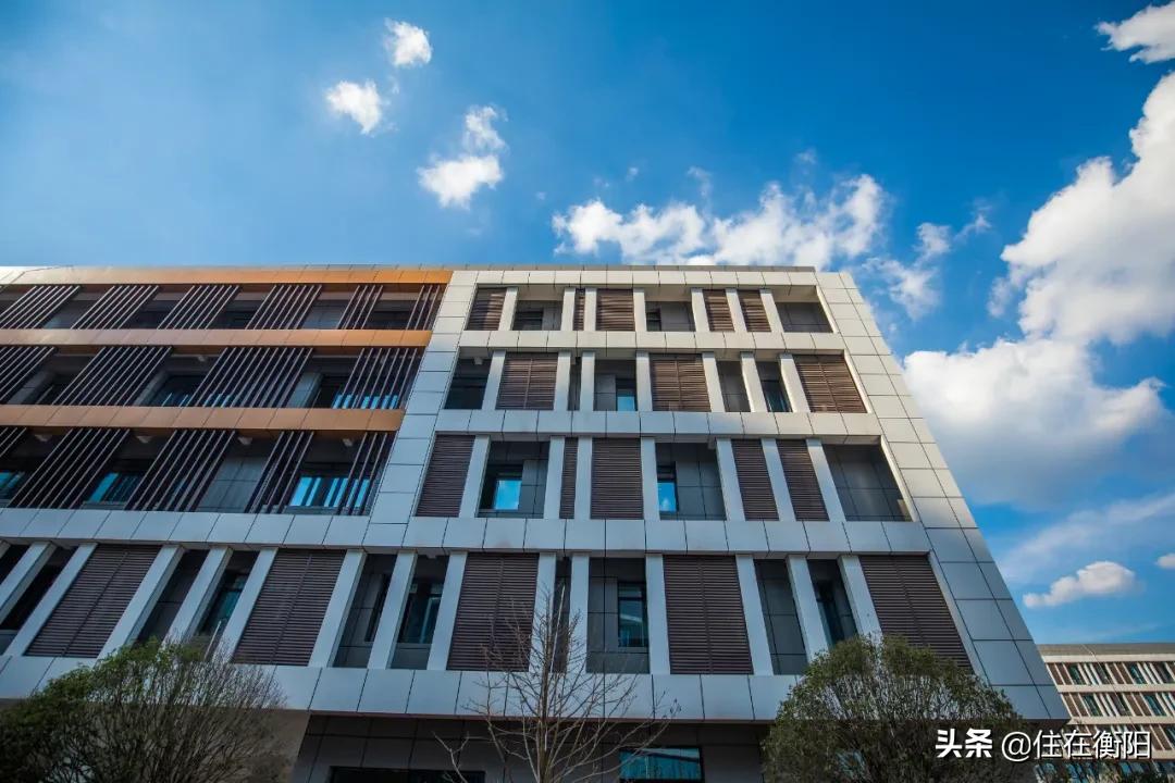 300亿，陆家新区变成什么样了？