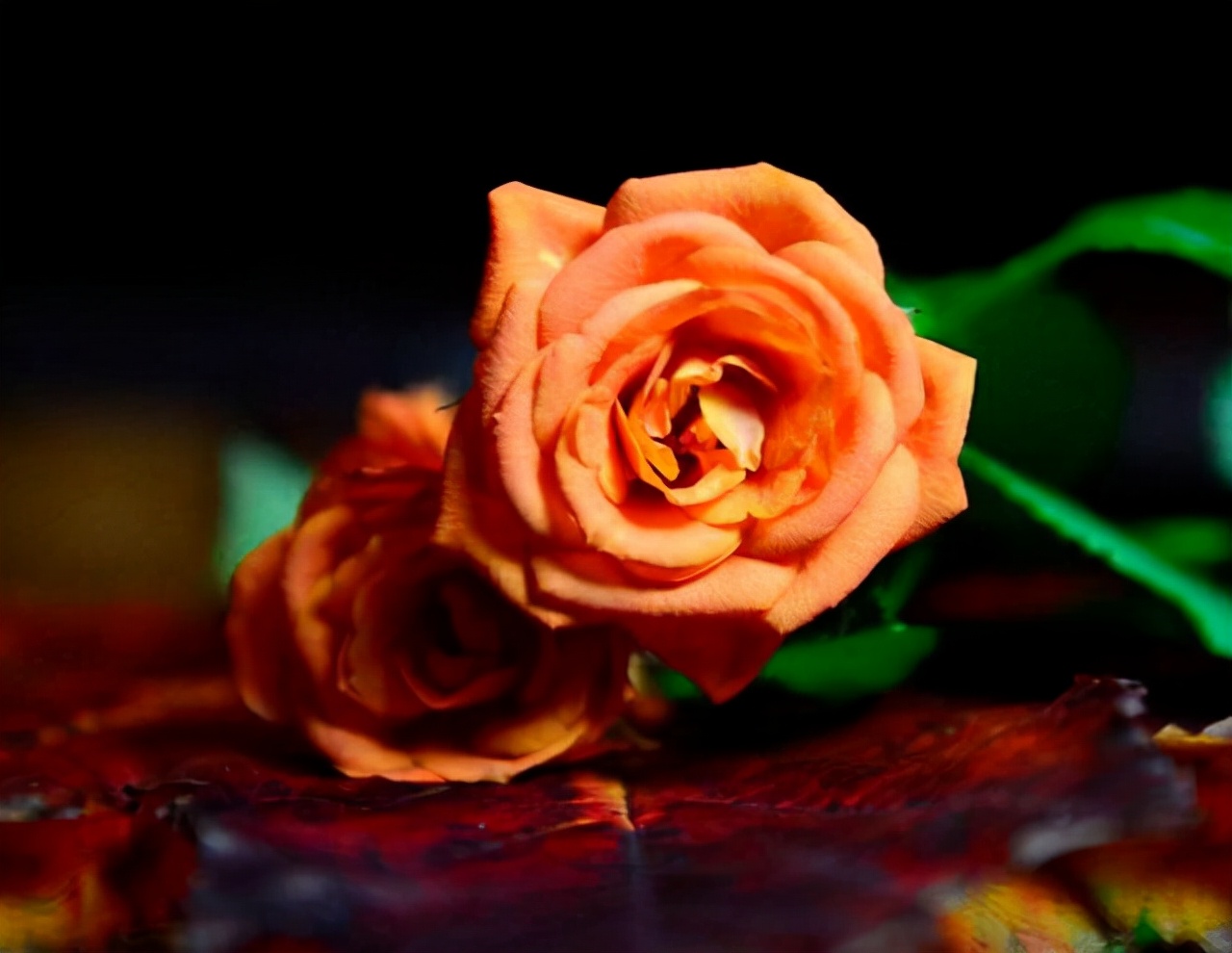 遭遇背叛后你最应该做的事,假如遇到背叛你要怎样处理