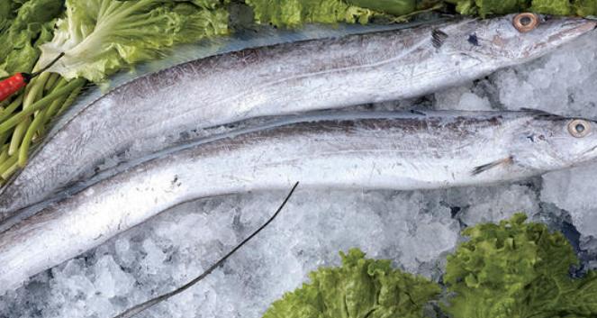 带鱼肉的颜色黑黄哪种好,黑眼带鱼和黄眼带鱼有什么区别