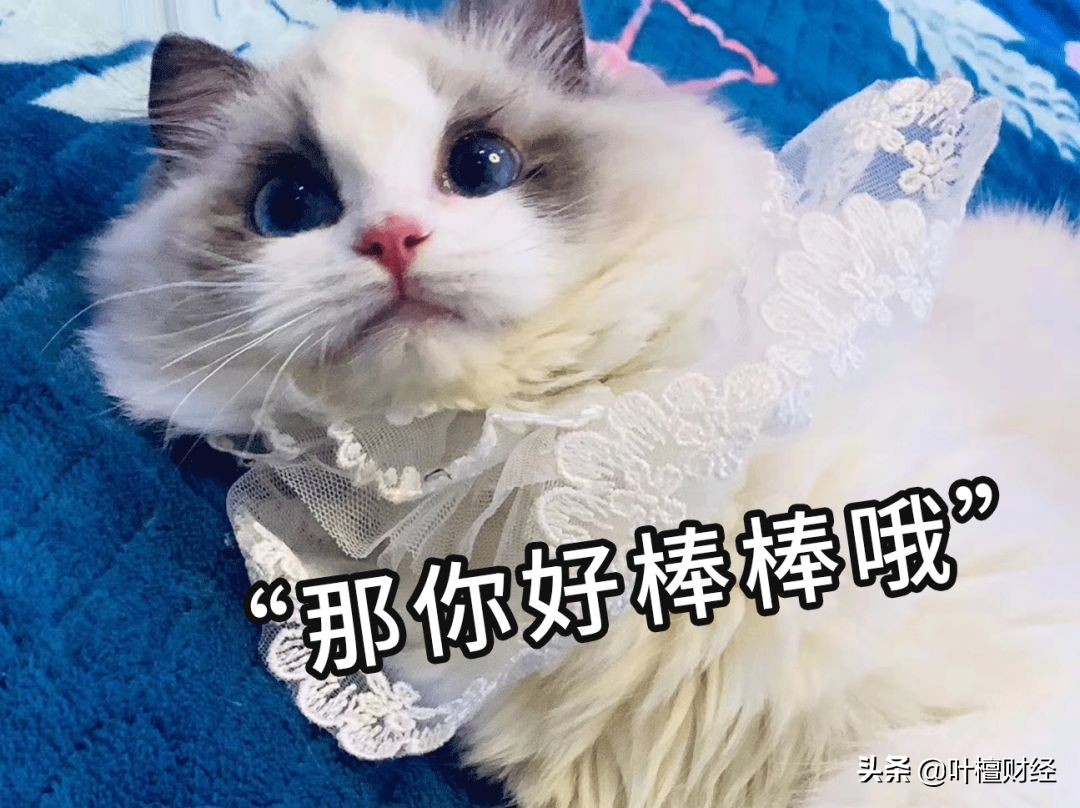 游资风云06,游资温州帮有没有听说过