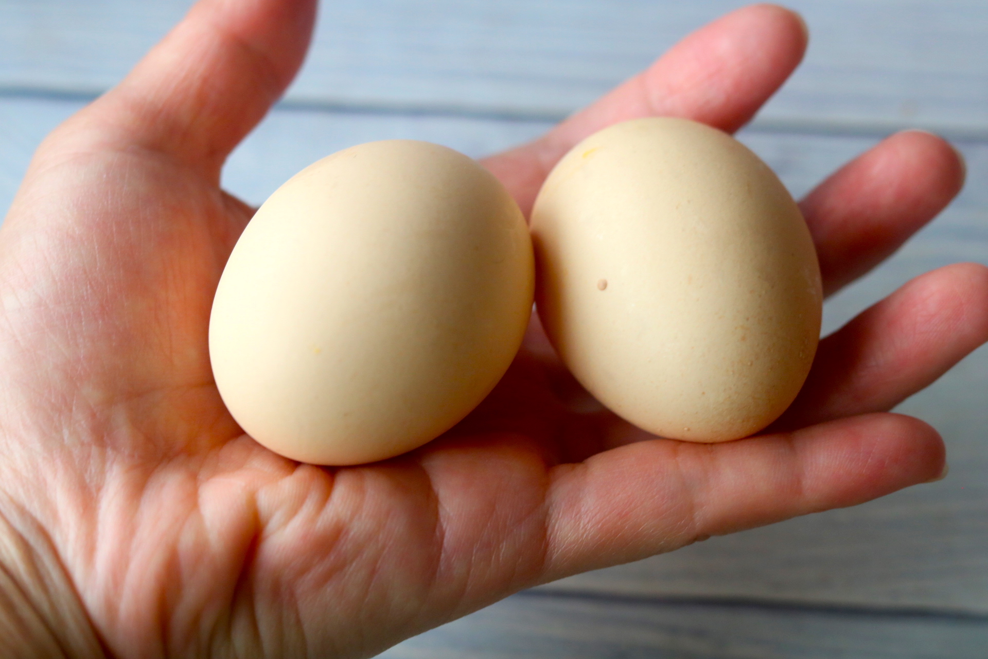 鸡蛋蛋黄发黑还能吃吗,为什么有些鸡蛋蛋黄发黑