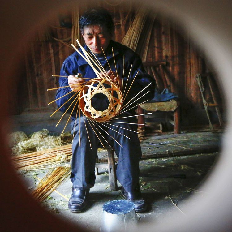 8月向日葵云海(徽州百工、黟县的朋友圈、瓷都景德镇)采风