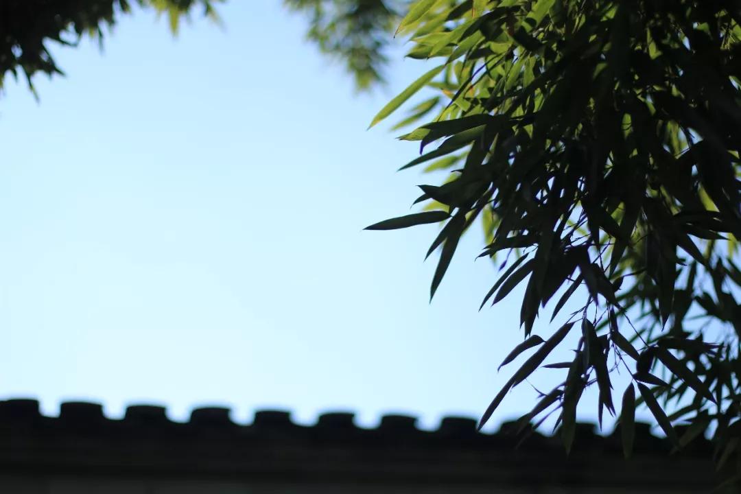 鑻忓窞鍥灄vs鏉窞瑗挎箹,鏉窞瑗挎箹vs鑻忓窞鍥灄