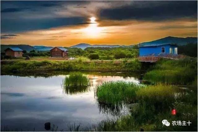 你是否曾经也向往过农村生活,向往田园生活和体验往往有差距