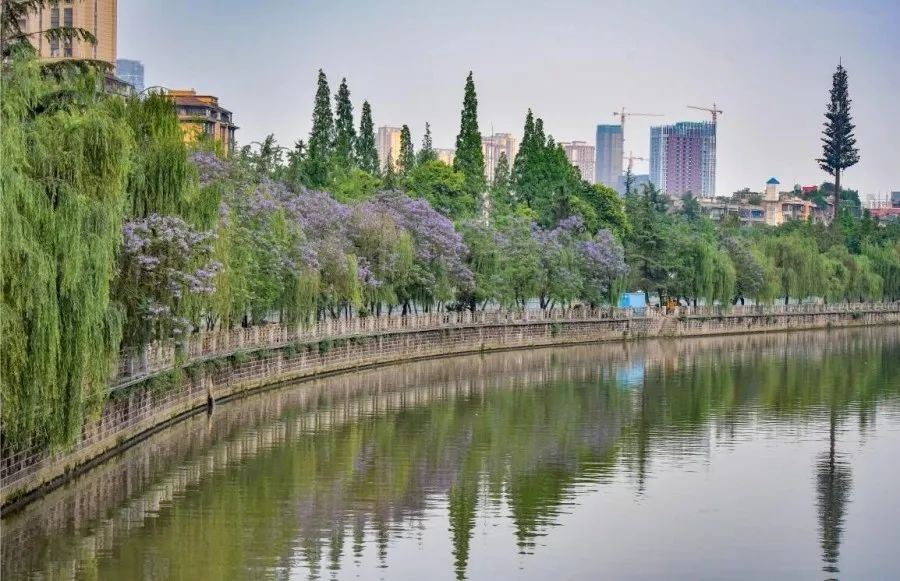 成华头条杉板桥,成华头条正能量