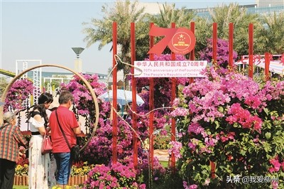 植树造林美龙城林下产业富百姓——市林业和园林局积极推进“花园城市”建设打造宜居宜业柳州侧记