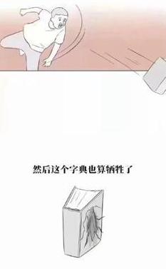 广东的蟑螂到底有多大,广东的蟑螂到底有多可怕