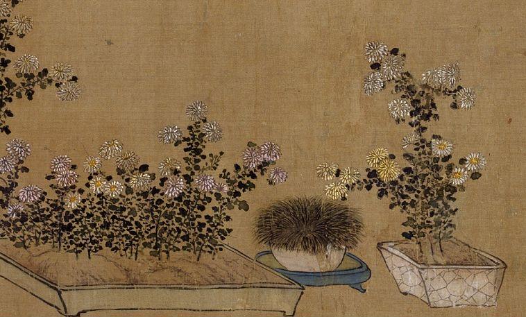 菖蒲:神仙之仙草,文人之雅草。