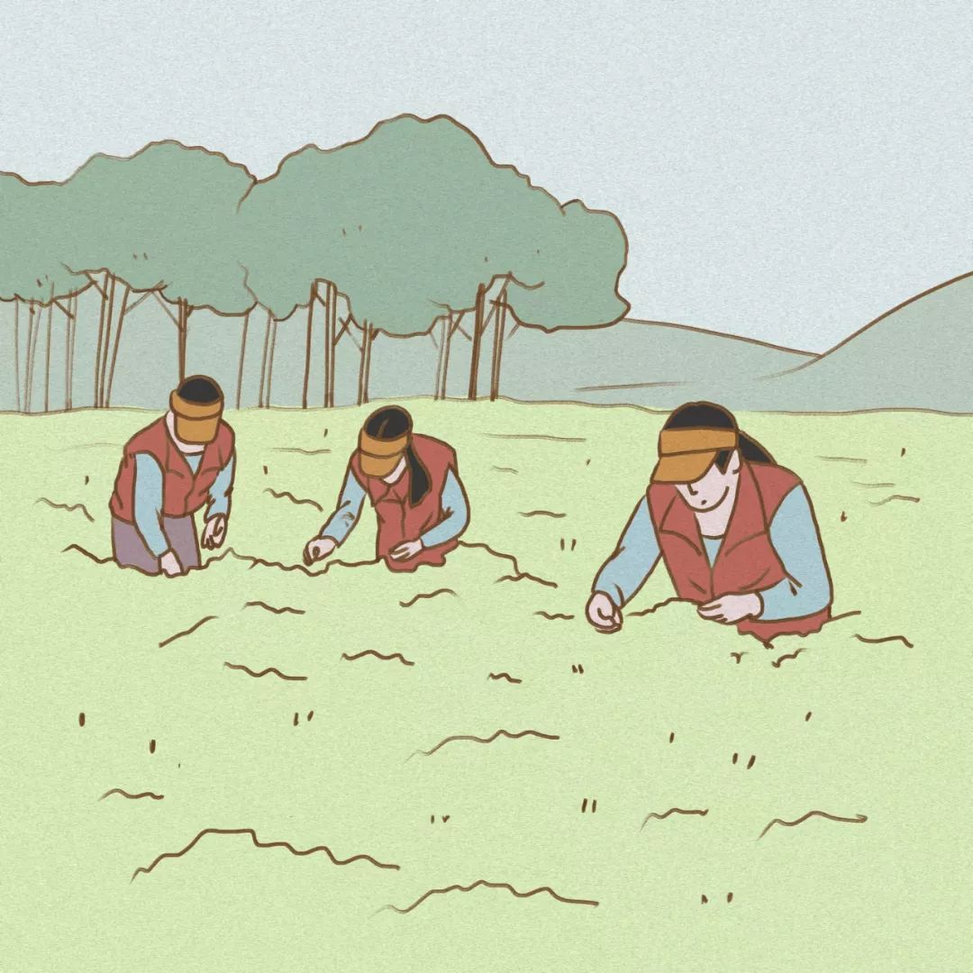 杭州的富豪到底有多有钱?年入百万的茶农只工作四个月,年薪千万的程序员只会存钱,萧山的老板买房从不分期