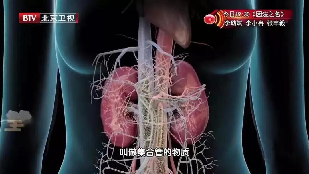 肌溶解导致肾衰能治愈么,运动之后肌肉溶解尿变颜色