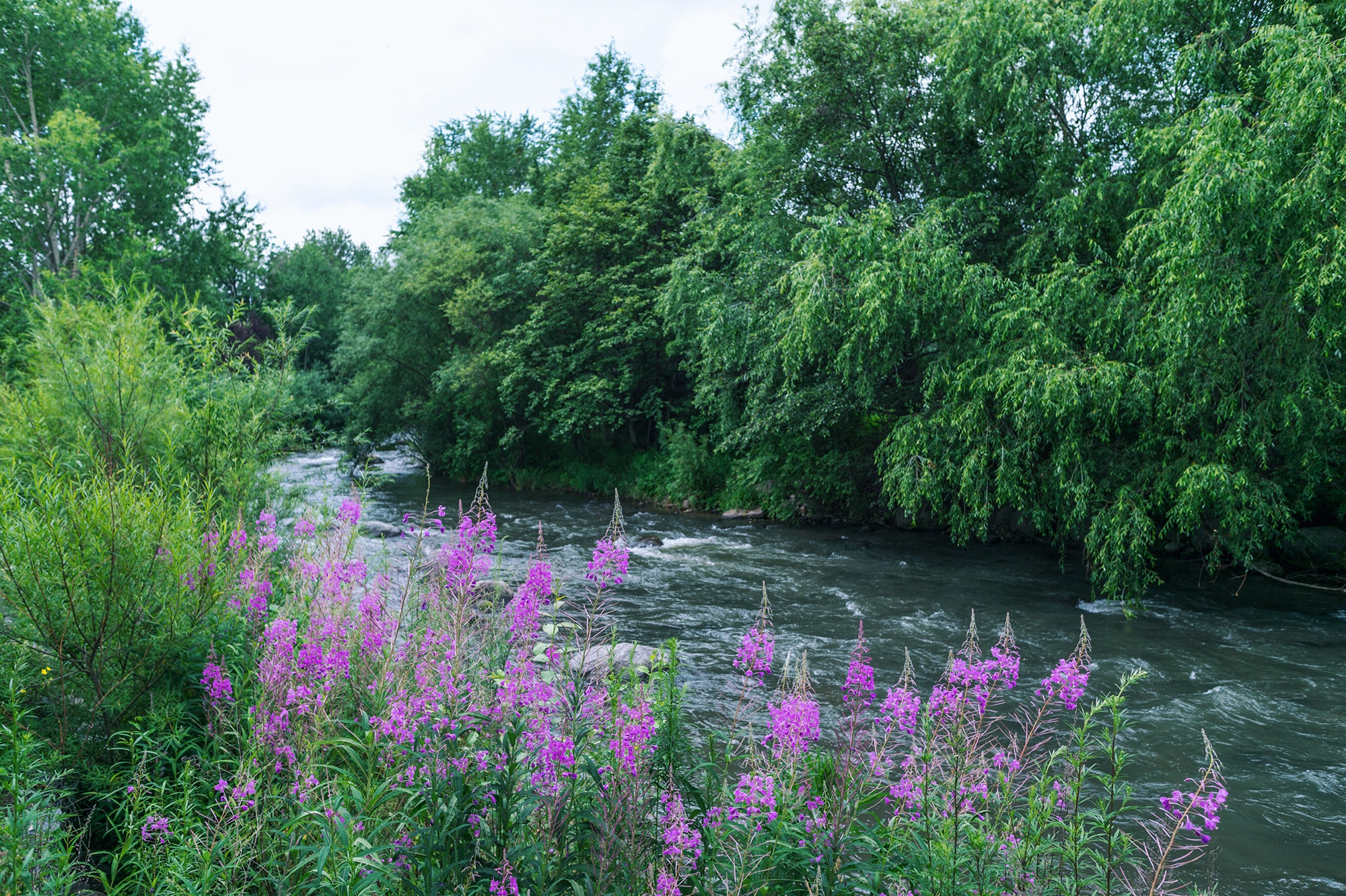 从二道白河去长白山景区攻略,长白山二道白河旅游线路
