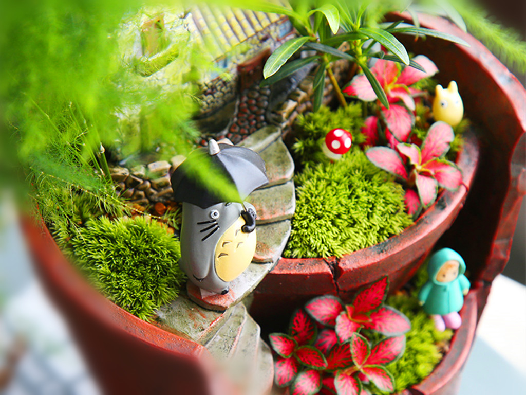 三种最好养的绿植,盆栽观赏草有哪些