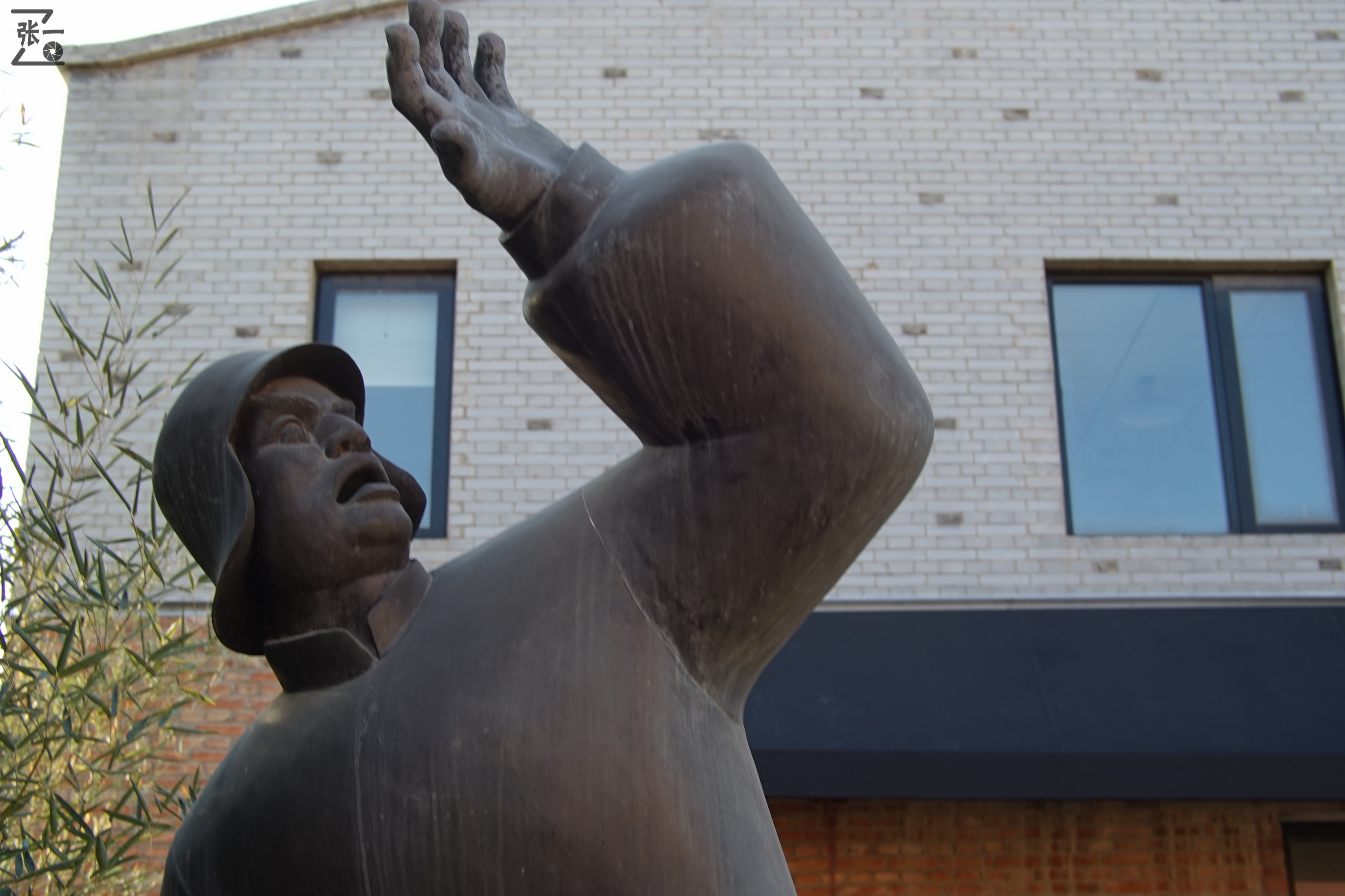 中国产微单,24-135镜头索尼