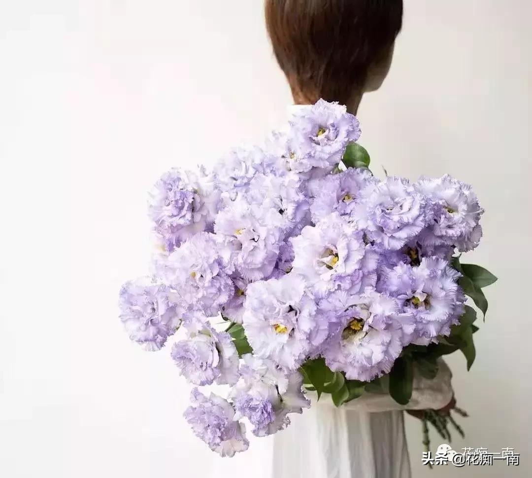 教师节应该送老师什么花用纸叠,教师节送花送什么花图片