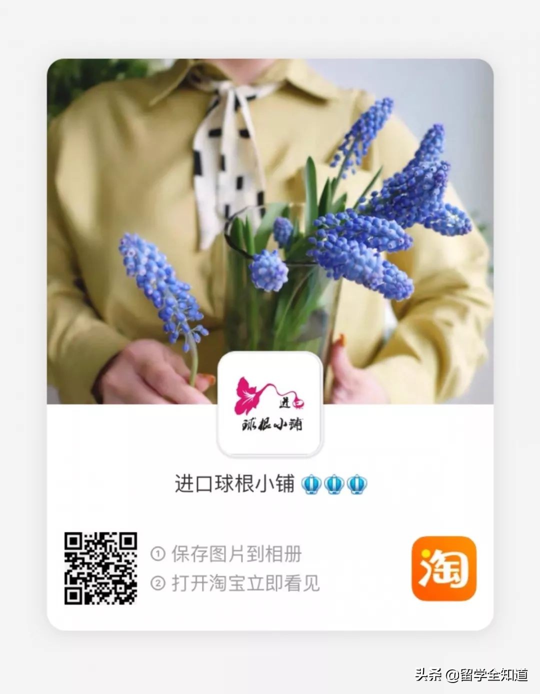 学霸妈妈们的购物清单：今年双11，这样买最有智慧