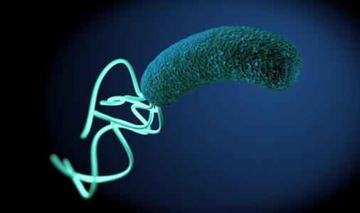 不懂病虫害,不懂预防疾病的案例