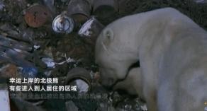 笑完后才发现的真实事件,笑完后才发现原来说的那么真实