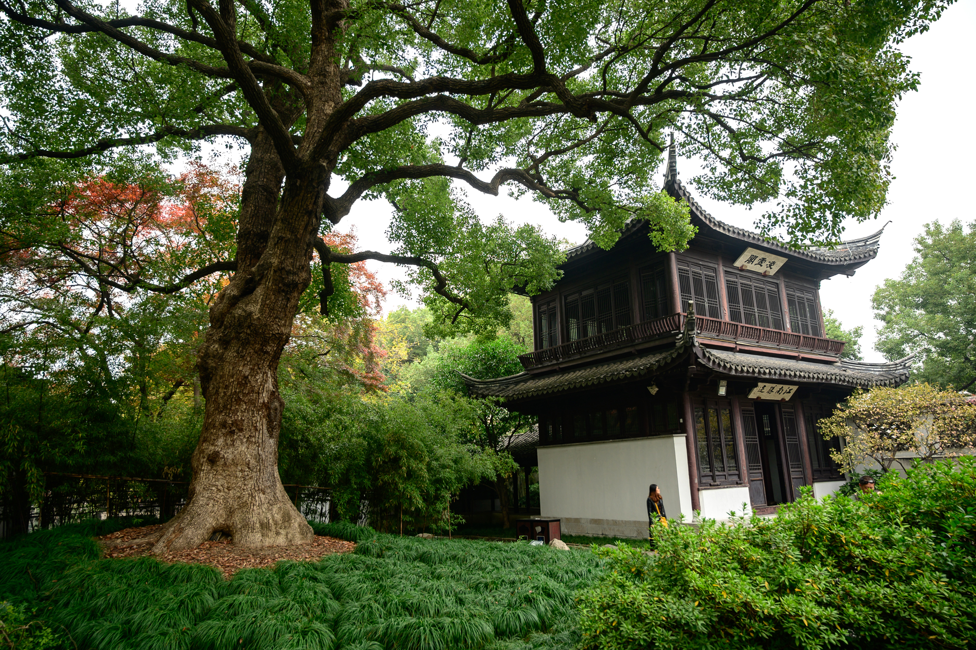 无锡寄畅园太湖石,无锡寄畅园和乾隆的关系