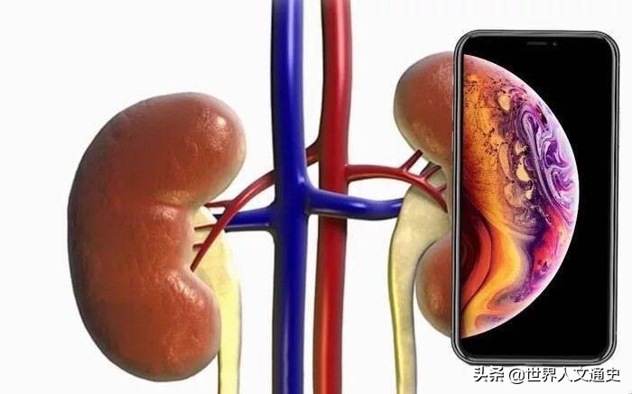 苹果手机卖肾男孩现状,卖肾换苹果手机的男孩儿还活着吗