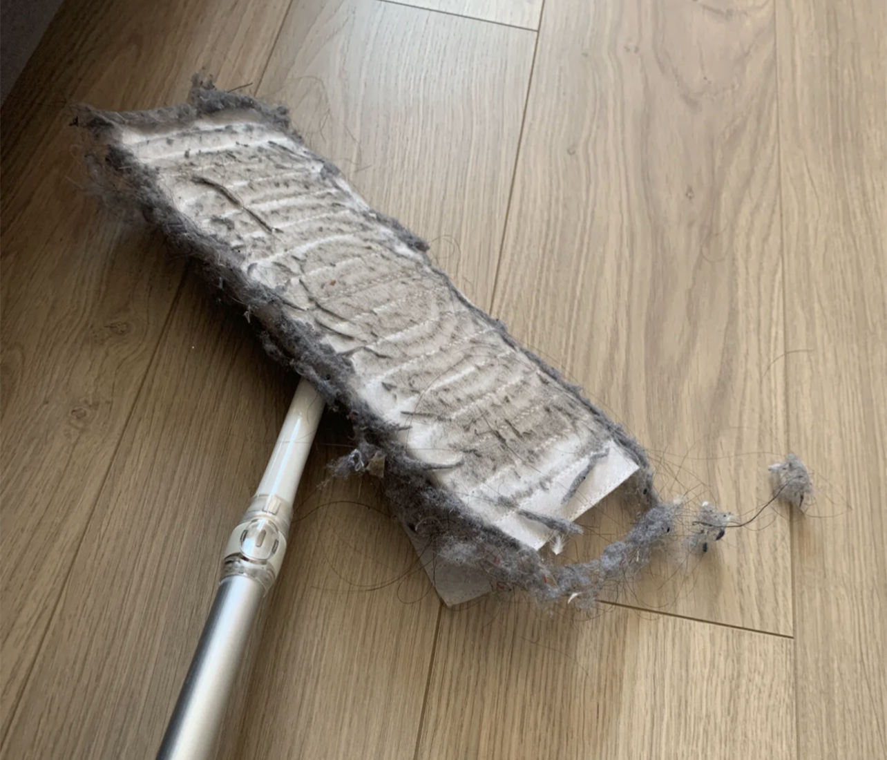 为何家里总有很多毛絮,每年的毛絮怎么解决