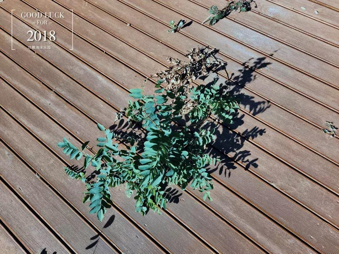 沙雕海洋乐园和渔岛哪个更值得去,沙雕海洋乐园视频