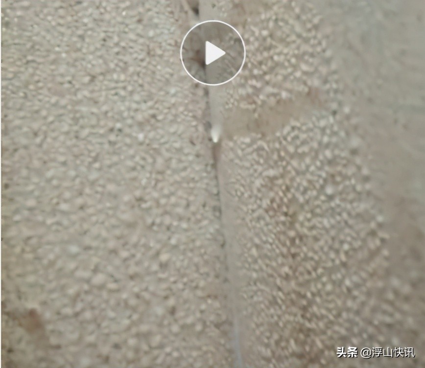 碧桂园滨海城项目在青岛哪,青岛碧桂园滨海城最新房价