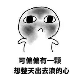 鹭湖水世界天旋大回环,水上天旋大回环