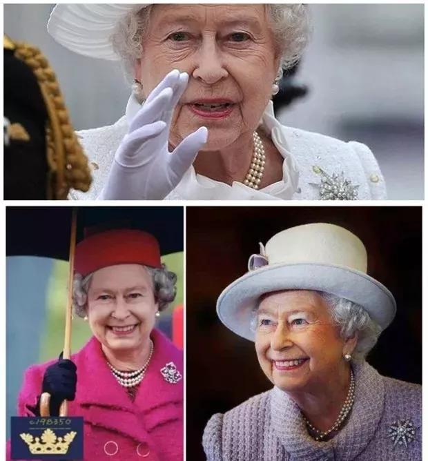 流水的“七色战队”,铁打的珍珠胸针