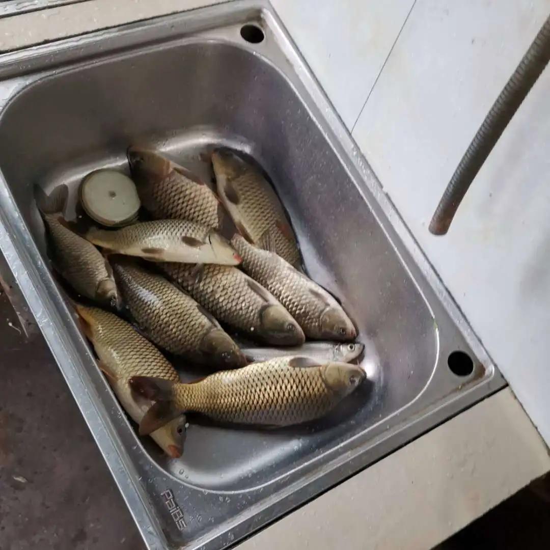 黑龙滩水库最新鱼情,德阳中江继光水库