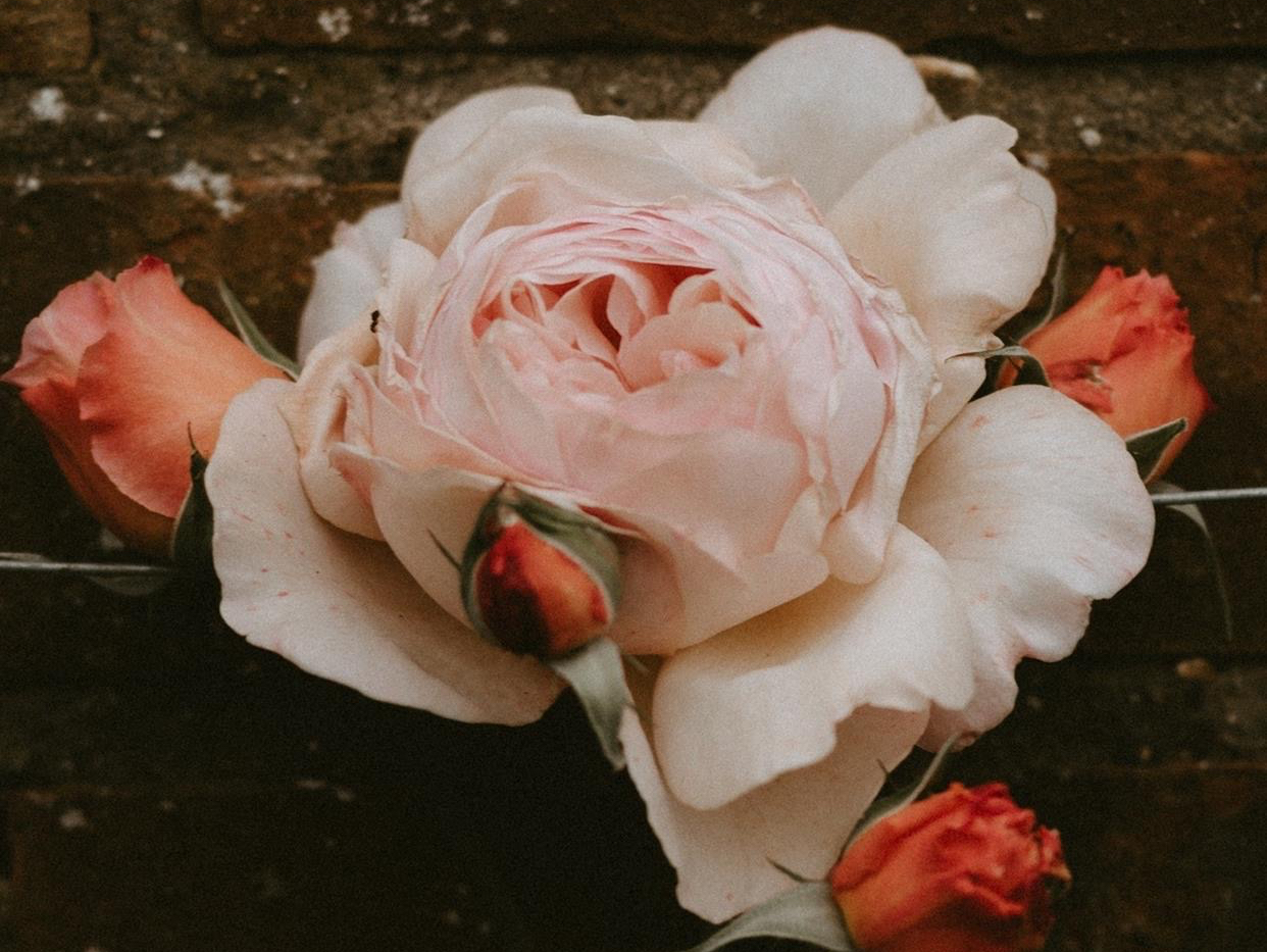 真正完美的爱情是怎样的,真正好的情人关系是怎么样相处