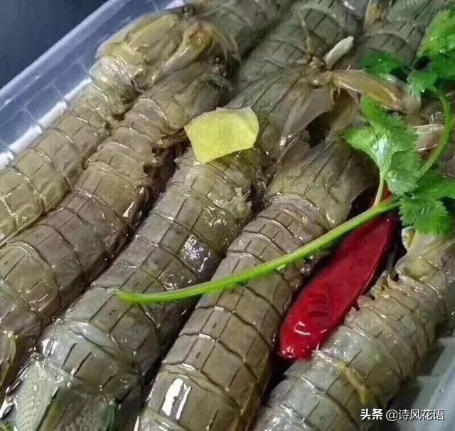 家乡印象海鲜,家乡味道舌尖上的美食
