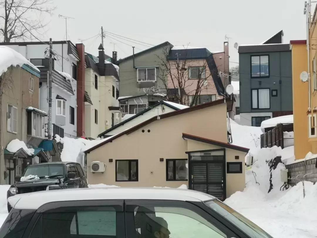 上海雪乡五日游攻略,日本雪乡一日游多少钱