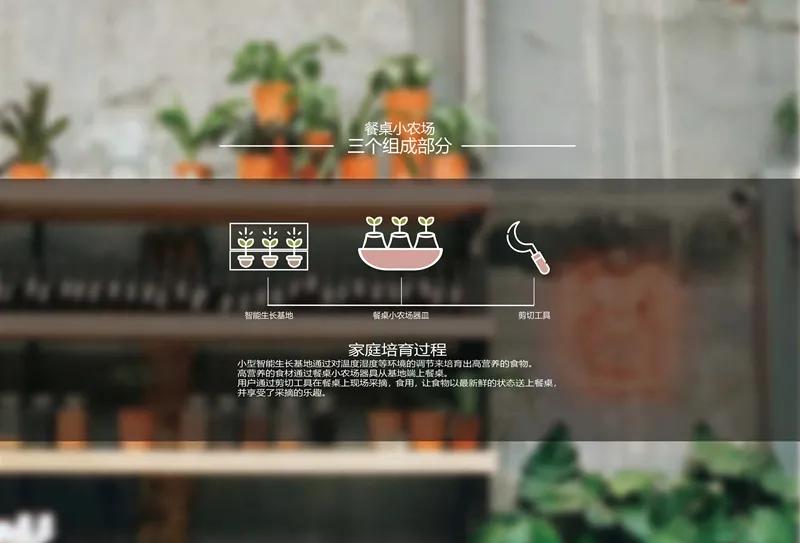 食物设计案例,健康饮食的设计意图