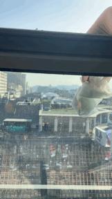 买门窗最容易踩的坑,家里门窗什么质量的好